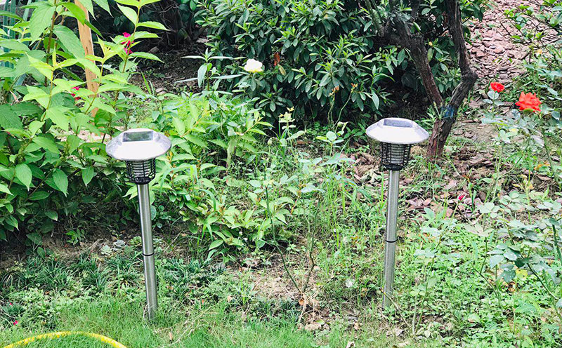 花園戶外庭院滅蚊燈效果 花園戶外庭院滅蚊燈效果