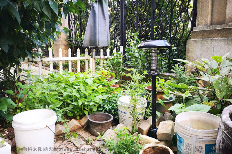 戶(hù)外滅蚊親測(cè)：滅蚊燈效果怎么樣？到底有用嗎