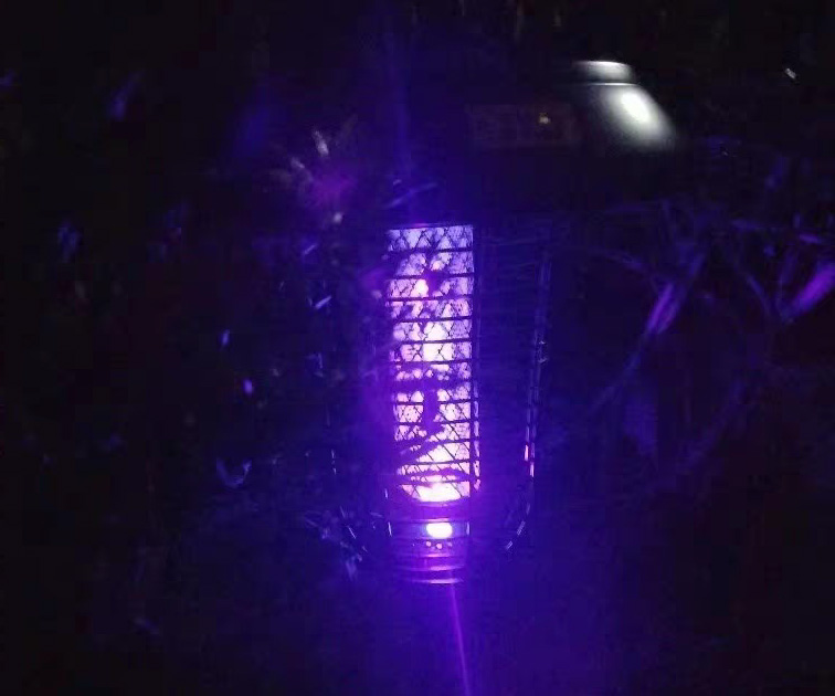 滅蚊燈效果，夜晚亮紫光的戶外滅蚊燈