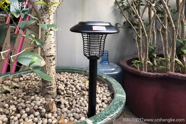陽(yáng)臺(tái)花盆中的黑色小飛蟲(chóng)怎么消滅？