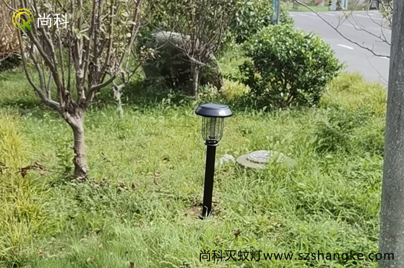 浙江嘉興無(wú)蚊村的秘密，太陽(yáng)能滅蚊燈是亮點(diǎn)