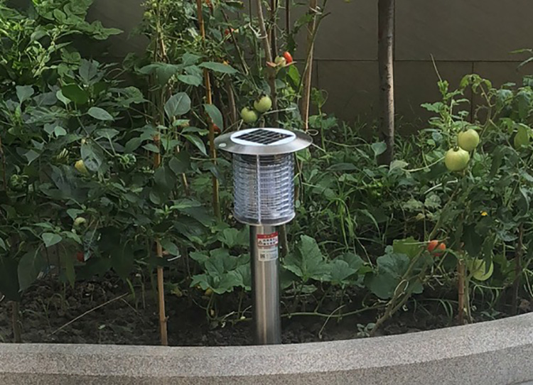 室外滅蚊蟲燈的工作原理詳解，了解如何驅(qū)趕蚊蟲