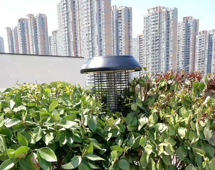 室外滅蚊燈到底有沒有用，完全取決于你會不會用