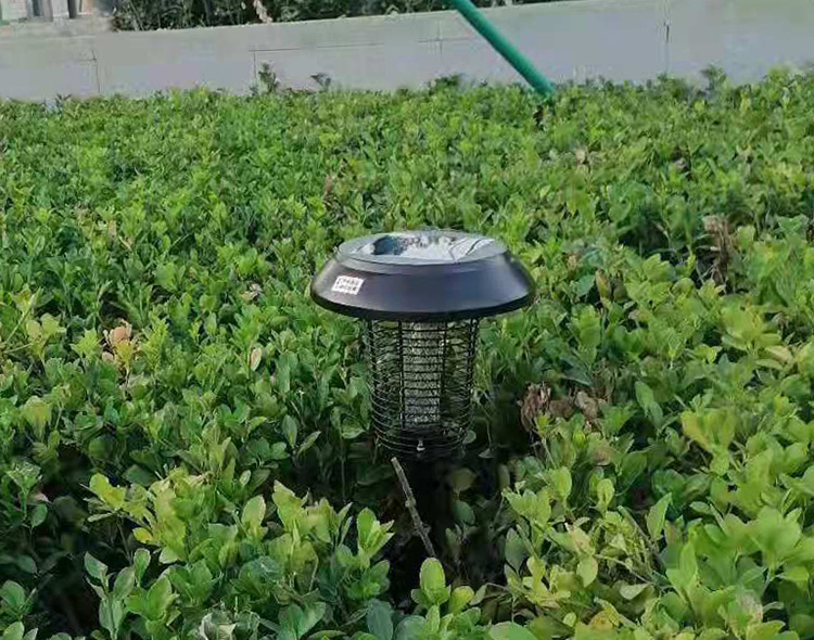 別墅花園怎么滅蚊，方法分享